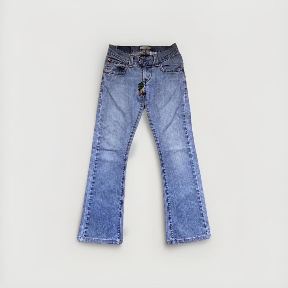 Levi’s 542 Men’s Low Flare Jeans W28x25 Light Wash Pineapple Embroidery